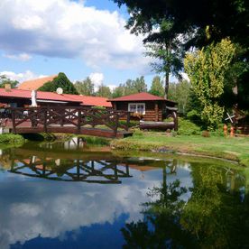 Pensionsgelände vom Spreewaldhaus Zum See - Pension Baschin in Alt-Schadow in Brandenburg