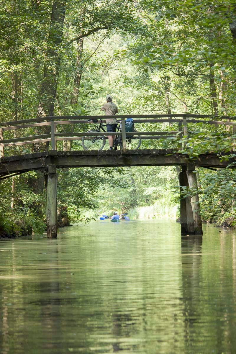 Spreewald - Spreewaldhaus Zum See - Pension Baschin in Alt-Schadow in Brandenburg