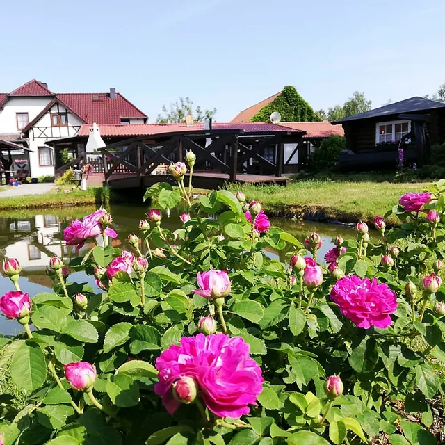 Impressionen vom Spreewaldhaus Zum See - Pension Baschin in Alt-Schadow in Brandenburg