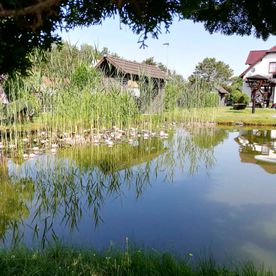 Pensionsgelände vom Spreewaldhaus Zum See - Pension Baschin in Alt-Schadow in Brandenburg